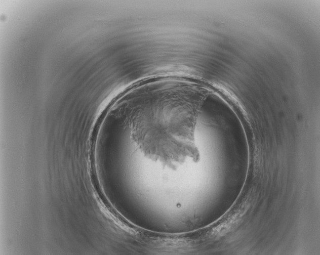 X0000060760941200511171144