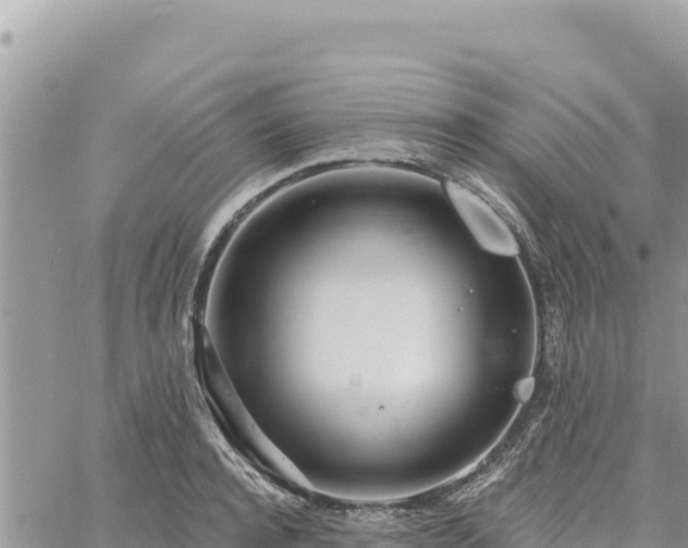 X0000060760944200511171144