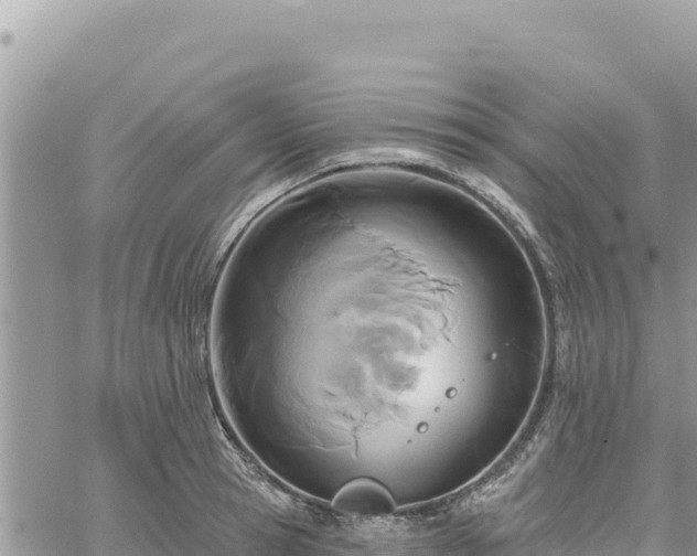 X0000060760945200511171144