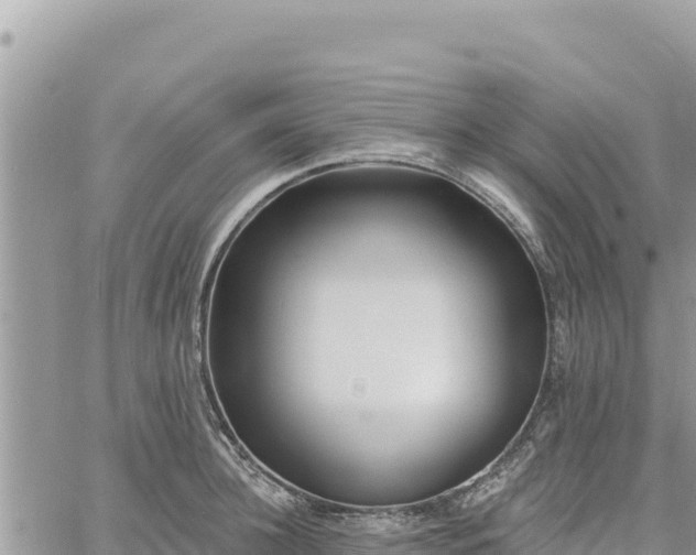 X0000060760948200511171144