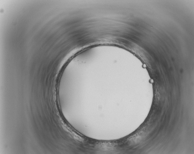 X0000060760950200511171144