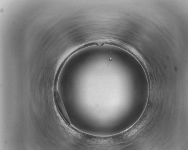 X0000060760951200511171144