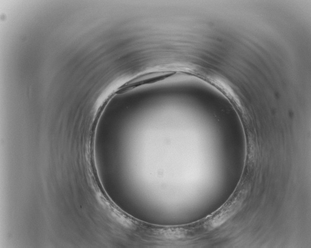 X0000060760952200511171144