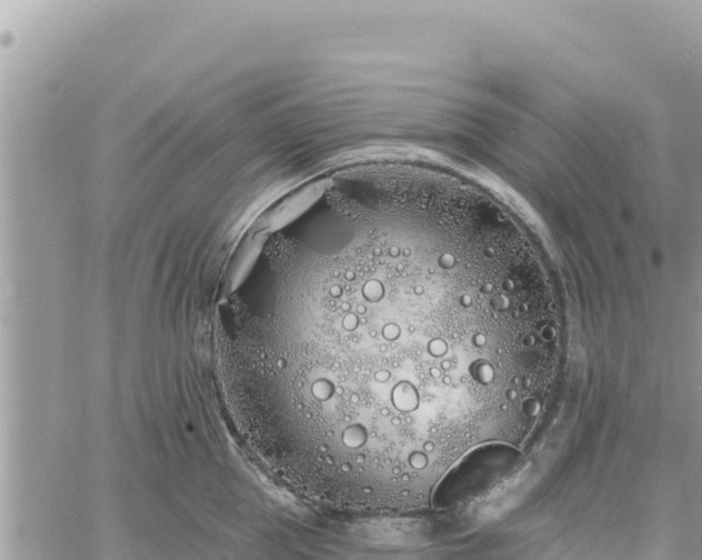 X0000060760953200511171144