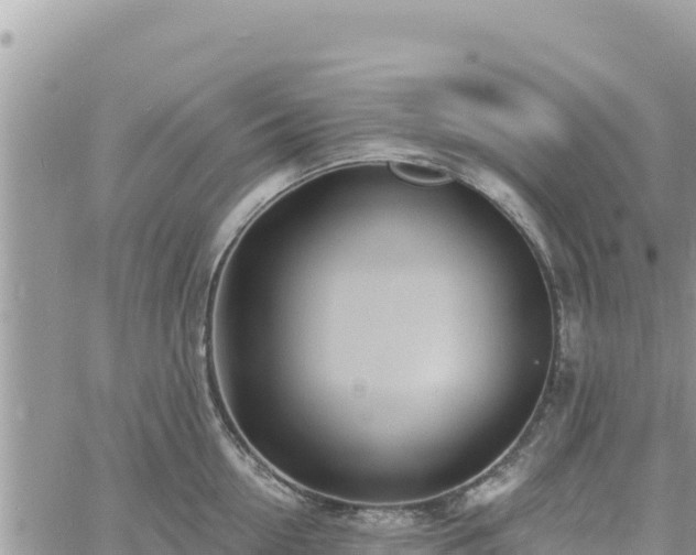 X0000060760954200511171144