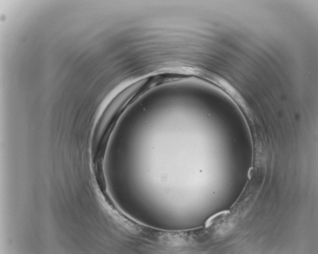 X0000060760955200511171144