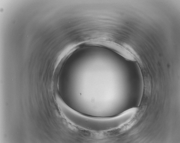 X0000060760956200511171144