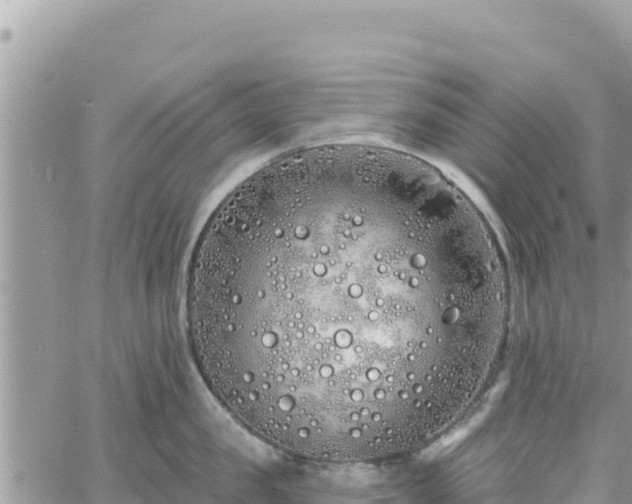 X0000060760957200511171145