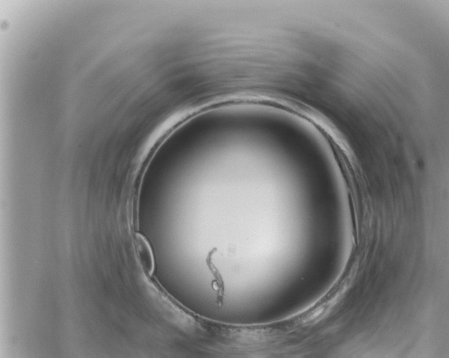 X0000060760958200511171145