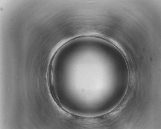 X0000060760959200511171145