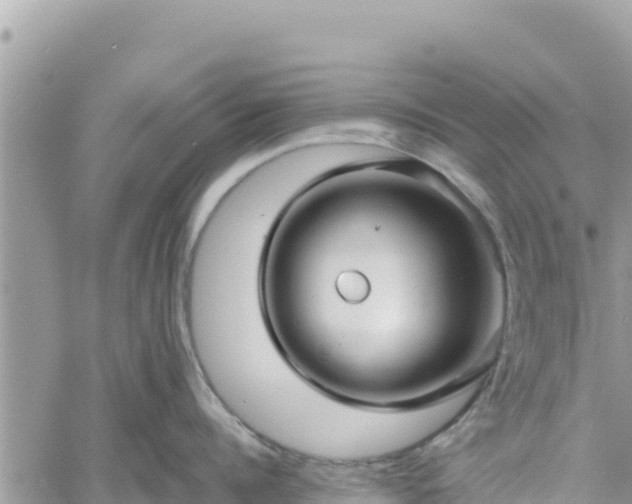 X0000060760960200511171145