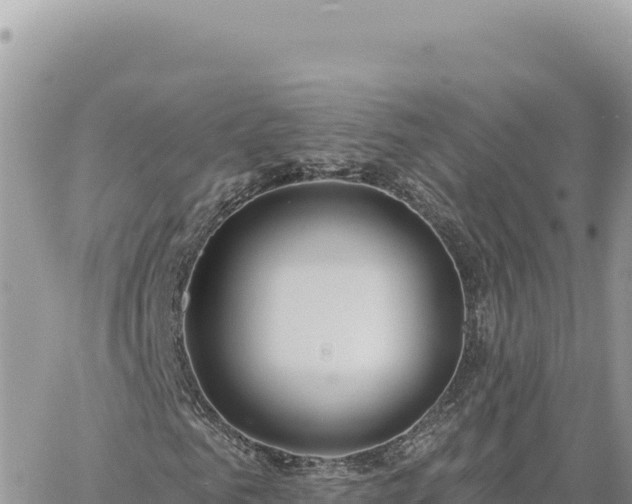 X0000060760961200511171144