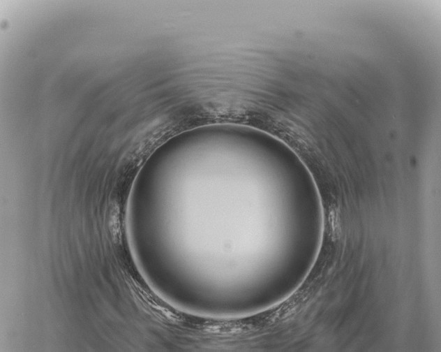 X0000060760963200511171144