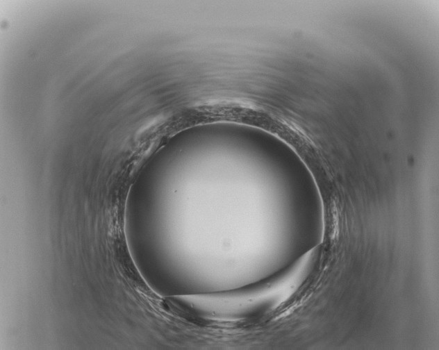 X0000060760965200511171144