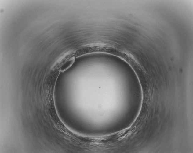 X0000060760967200511171144