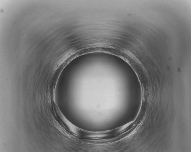 X0000060760969200511171144