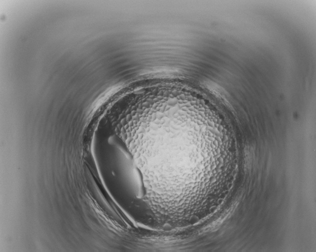 X0000060760970200511171144