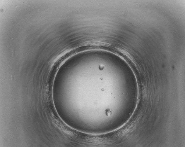 X0000060760971200511171144