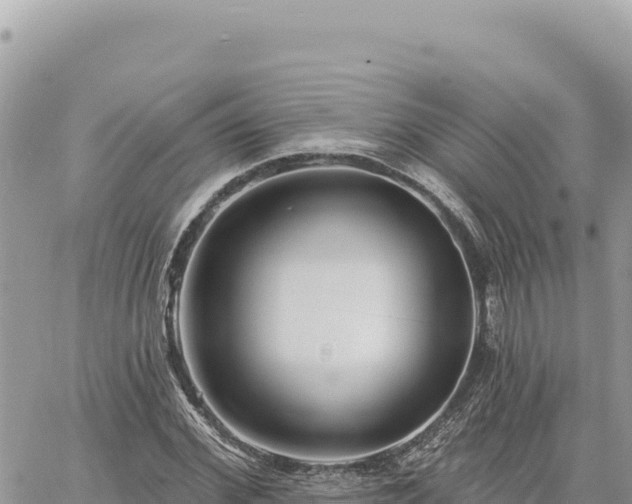 X0000060760972200511171144