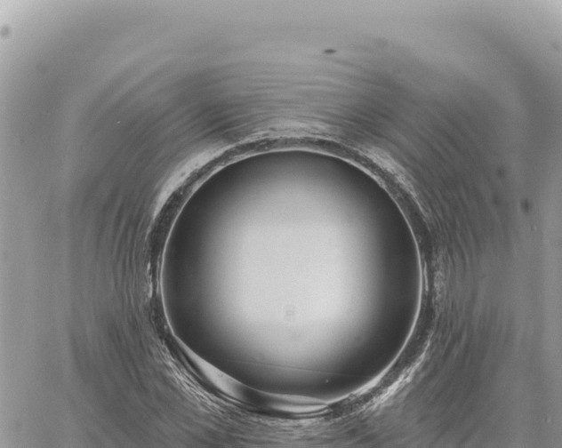 X0000060760973200511171144