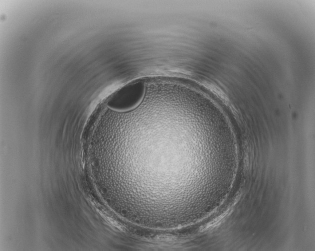 X0000060760974200511171144