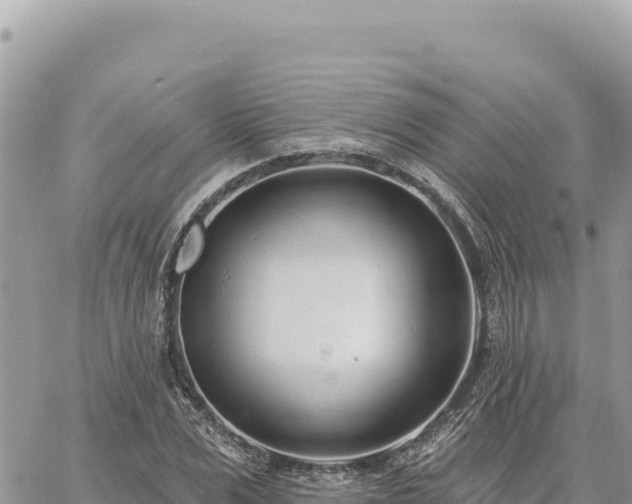 X0000060760975200511171144