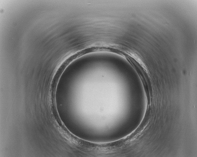 X0000060760976200511171144