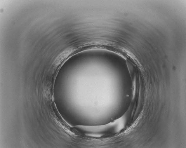 X0000060760977200511171143