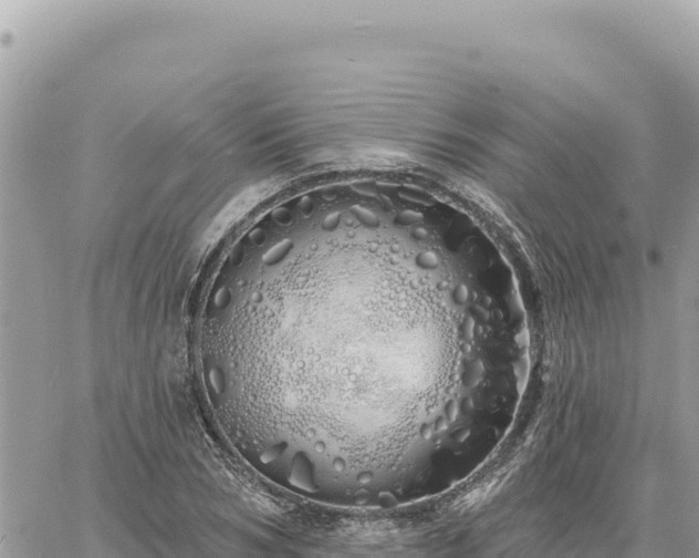 X0000060760978200511171143