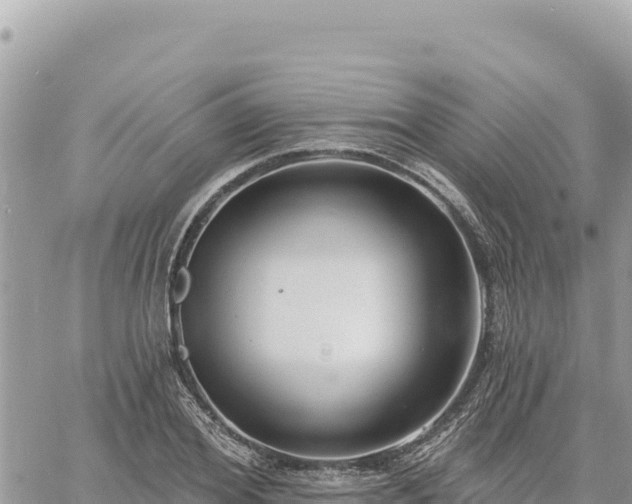 X0000060760980200511171143