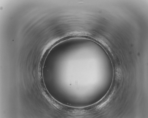 X0000060760981200511171143