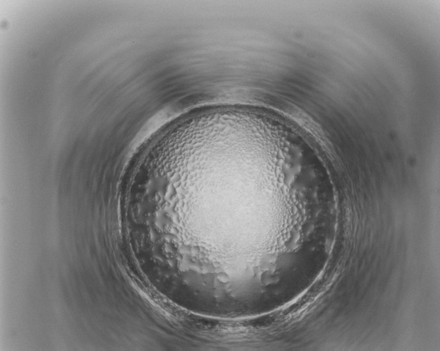 X0000060760982200511171143