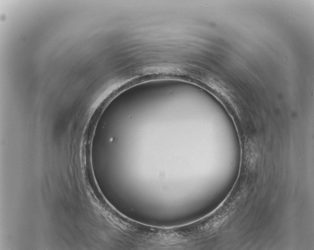 X0000060760983200511171143