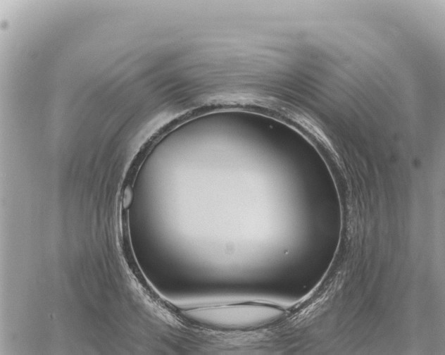 X0000060760984200511171143