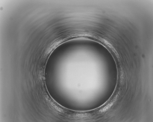 X0000060760985200511171143