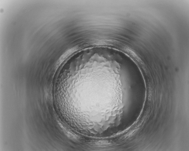 X0000060760986200511171143