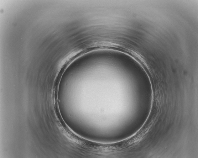 X0000060760987200511171143