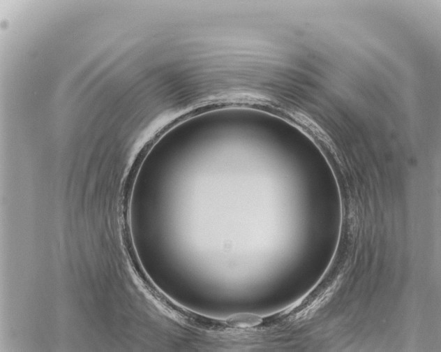 X0000060760989200511171143