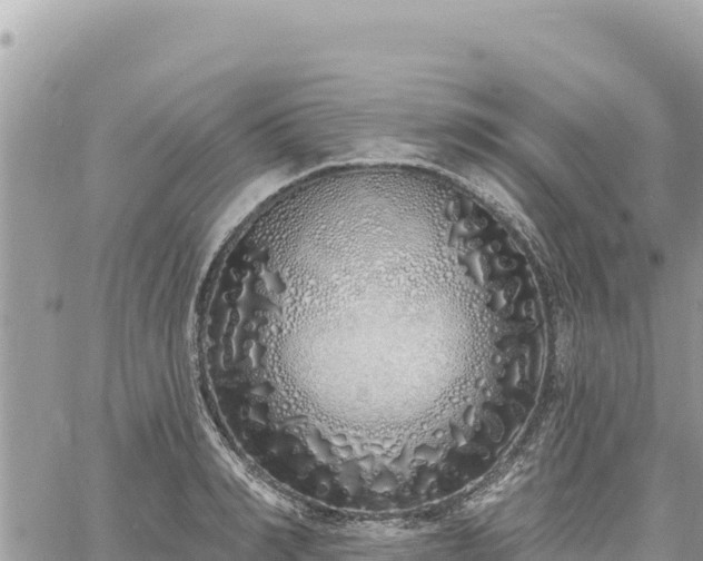 X0000060760990200511171143