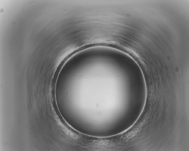 X0000060760991200511171143