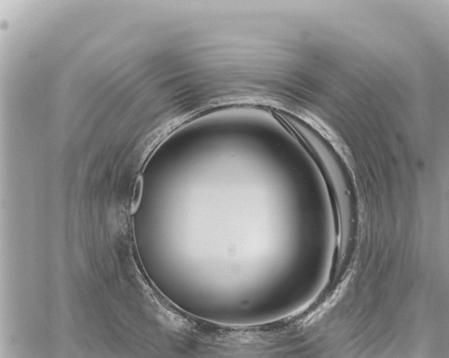 X0000060760993200511171143