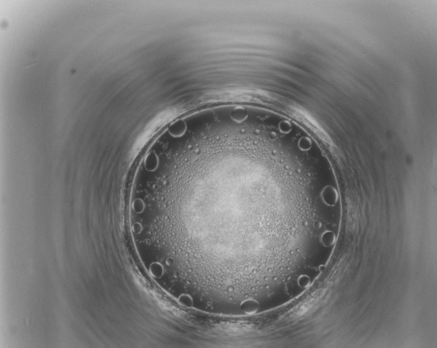 X0000060760994200511171143