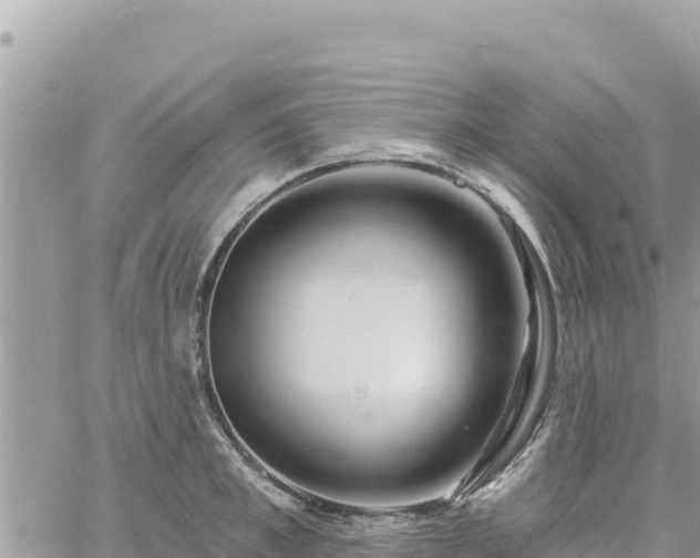 X0000060760997200511171143