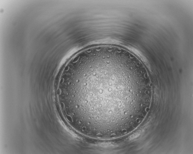 X0000060760998200511171143