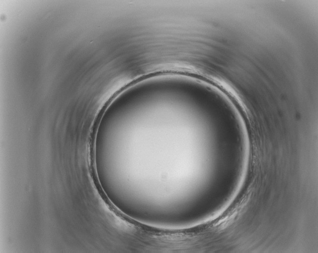 X0000060760999200511171143