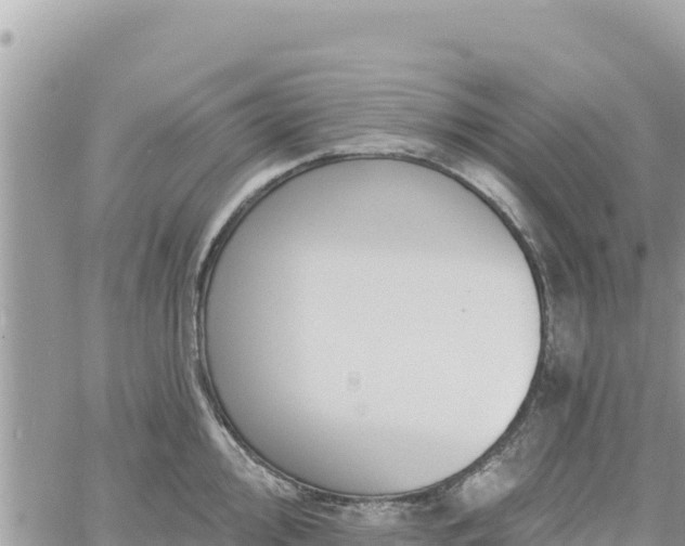 X0000060761000200511171143