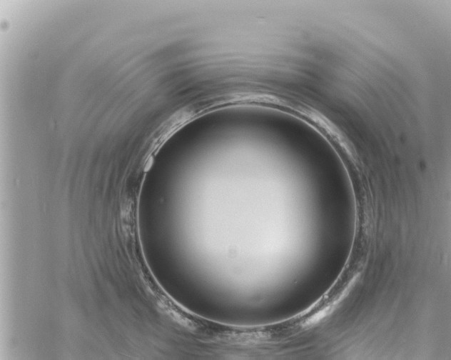 X0000060761001200511171143