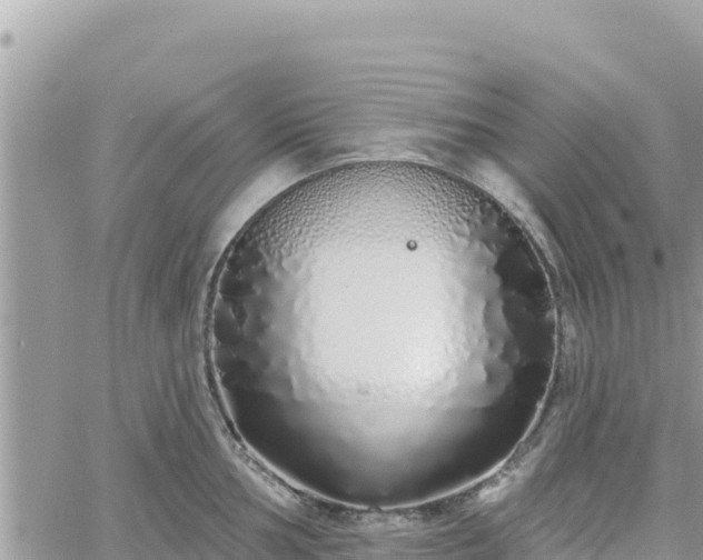 X0000060761002200511171143