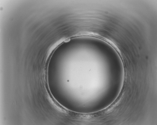 X0000060761003200511171143