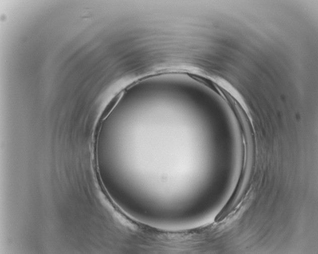 X0000060761005200511171143